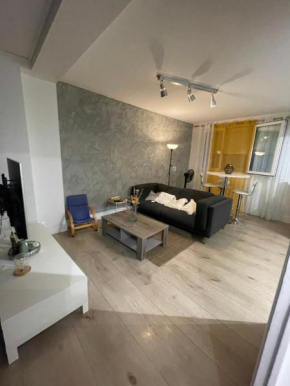Belle appartement avec 2 chambres à Toulouse